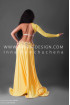 Professional bellydance costume (classic 157a)